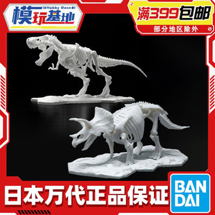 现货 万代 恐龙拼装 骨架 霸王龙 三角龙 化石 小比例 拼装 模型