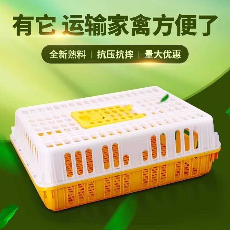 鸡笼鸡笼子塑料笼家用养殖家禽运输周转箱加厚防摔鸡鸭鹅兔笼子,畜牧/养殖物资,畜牧/养殖器械,淘宝优惠券,粉丝福利购,淘宝优惠卷