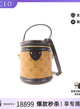 中古LV路易威登女包A级95新Cannes便当包斜挎包棕色高级正品HK