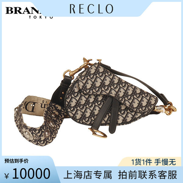 DIOR迪奥SADDLE马鞍老花斜挎包