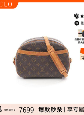 中古LV路易威登女包B级9新Blower苹果包涂层/防水帆布斜挎包棕色