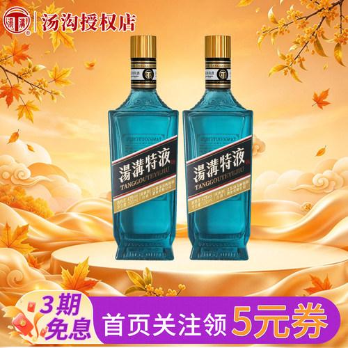 汤沟酒特液浓香42度500mL