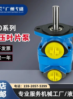 V系列V20-1B7B/8B/9B/10B/11B/12B压铸机高压定量单联叶片油泵