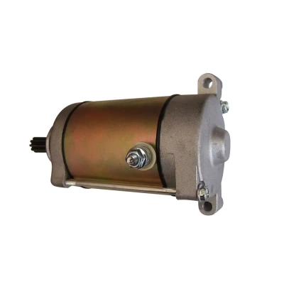 0180-091100-0010沙滩车配件启动