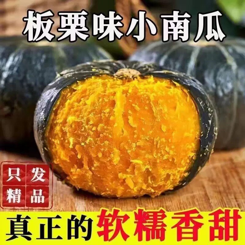 （不粉包赔）新鲜现摘现发贝贝南瓜板栗味小南瓜粉面香甜5斤整箱