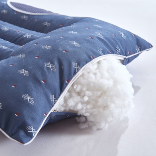 整头枕头枕芯加枕套平矮低枕薄款偏硬荞麦皮决明子一对装家用柔软