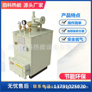 店 中邦强制气化炉ZPEX-150公斤液化气气化器 煤气气化器