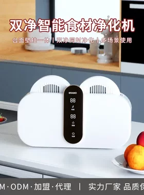 双仓果蔬清洗机壁挂式食品食材
