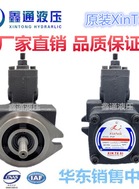 61少儿节量叶片泵VP-20-FA3液压系统油泵低噪音油泵7MPA XINTESI