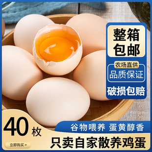 包邮 新鲜土鸡蛋40枚农家散养笨鸡蛋农村自养天然柴鸡蛋草鸡蛋整箱