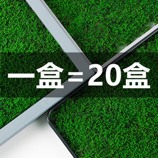 鲜活苔藓大尺寸30*60cm微景观植物盆景盆栽水陆缸假山草造景青苔