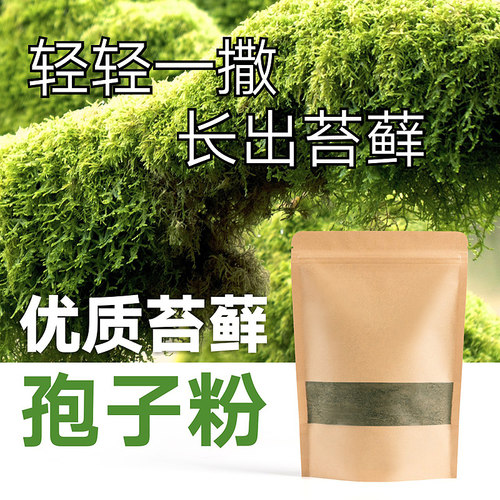 山里花木苔藓种子粉高品质包成活