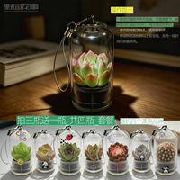 Yihuozhen Succulent Keychain Cactus Ecological Bottle Mini potted Plant Pendant Green Plant Micro-Landscape Creative Gift thumbnail 8