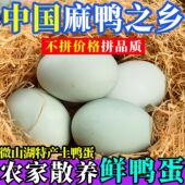 正宗微山湖散养麻鸭蛋虾螺蛋土鸭蛋30枚 箱蛋黄红黄营养美味新鲜