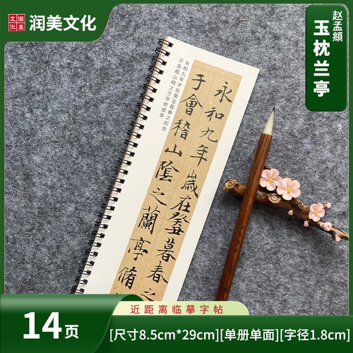 元赵孟名家书法作品练字楷书临摹本描红本玉枕兰亭近距离临摹