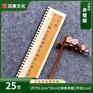 明 文征明小楷赤壁赋对临近距离临摹字帖卡单册