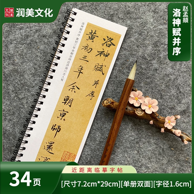 元赵孟頫洛神赋行书小楷毛笔字帖近距离对临字帖卡单册34页