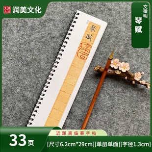 明文征明小楷系列琴赋近距离临摹字帖卡