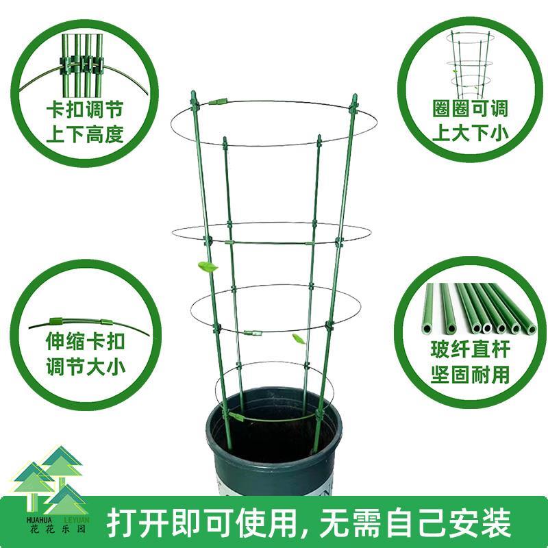花架支撑杆金钱树支架园艺架子花撑支架杆蟹爪兰支架铁线莲花架子