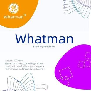Whatman41055实验1441047090快速滤纸 无灰110 125定量 号070