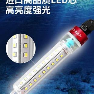 钓鱼灯LED强光水下诱鱼灯防水超亮集鱼灯船钓灯筏钓灯夜钓灯渔具
