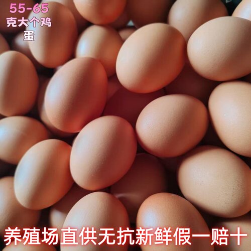 爱叶无药残120枚当天新鲜红皮优质无腥味大个60g洋鸡蛋