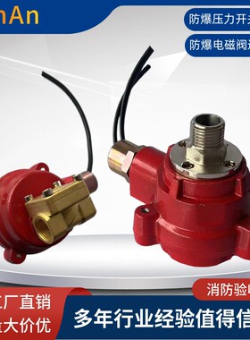 雨淋报警阀防爆压力开关ZSJY-EX-WX 防爆电磁阀ZSCFD1-P-15-16-EX