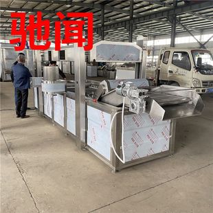 商用麻辣小龙虾油炸卤制生产线 酒鬼花生油炸线 小型鸡排油炸机