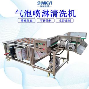 小白菜清洗机果蔬气浪洗货设备全自动油麦菜气泡清洗机