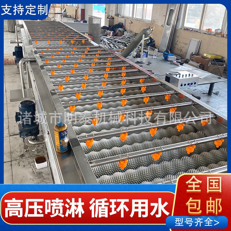 白萝卜平行毛辊清洗机 柠檬百香果洗果机 生蚝海螺清洗去杂设备