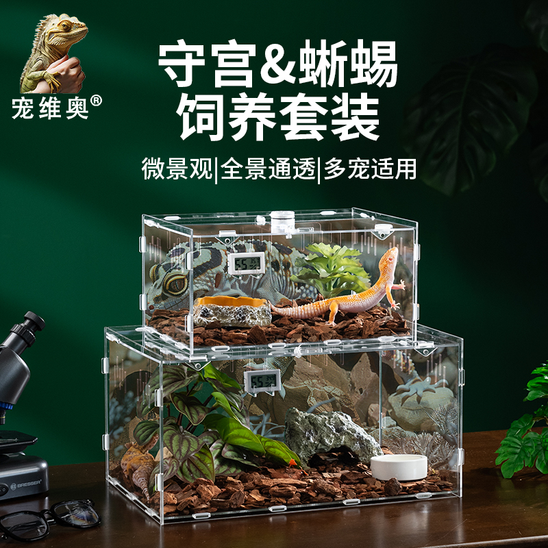 豹纹守宫蜥蜴饲养盒套装爬宠造景箱亚克力大号蜘蛛昆虫生态盒套餐
