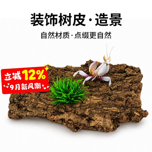 爬宠香槟树皮饲养箱造景躲避树洞