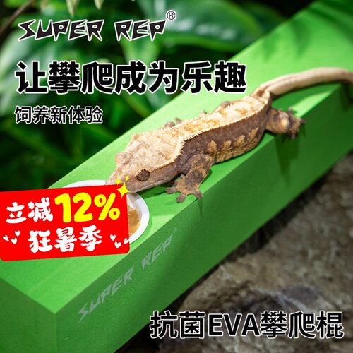 SuperRep爬宠攀爬棍抗菌可裁剪