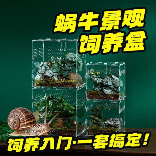 爬虫蜗牛饲养盒亚克力观察饲养箱