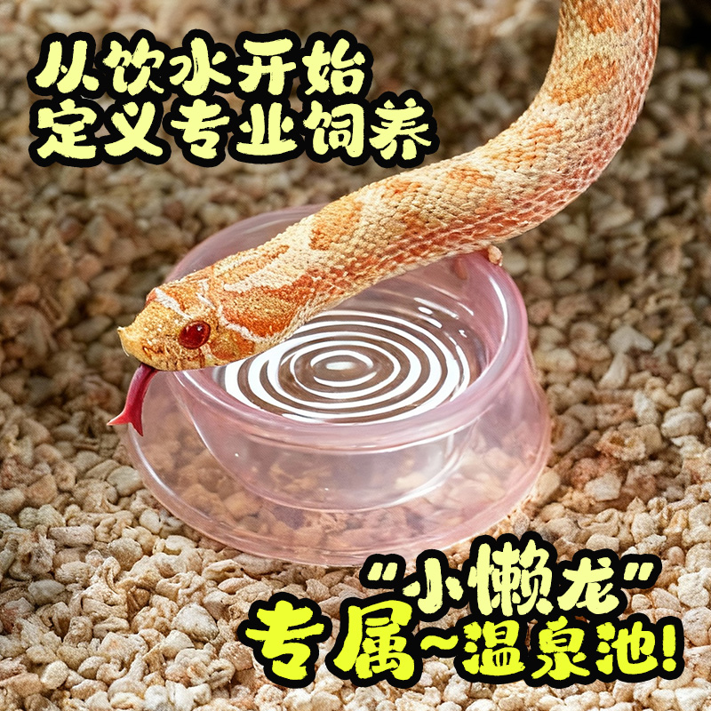宠维奥爬宠水盆宠物蛇饮水泡澡盆