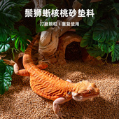 爬宠核桃砂垫料守宫鬃狮蜥蜴饲养箱造景除味干燥打磨垫材超爬沙