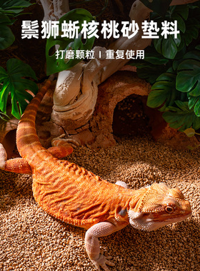 爬宠核桃砂垫料守宫鬃狮蜥蜴饲养箱造景除味干燥打磨垫材超爬沙
