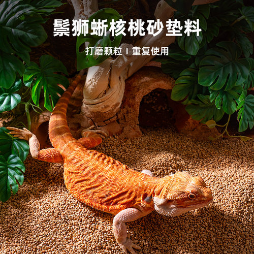 宠维奥爬宠箱垫材无尘除臭