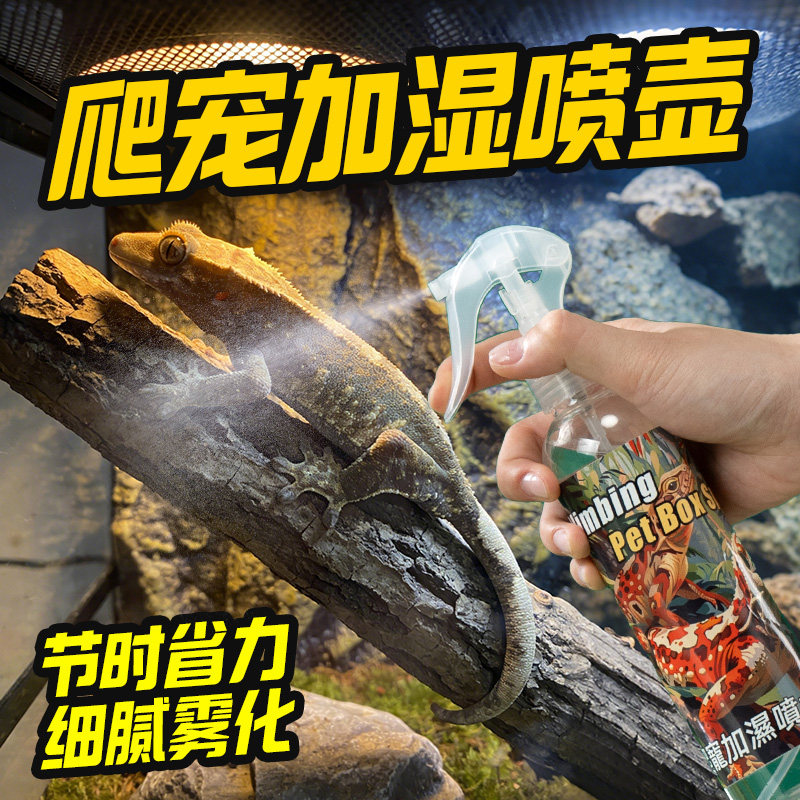 爬宠饲养箱加湿喷壶角蛙守宫蜥蜴蛇专用喷水壶养爬工具喷雾细腻
