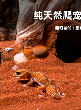 爬宠箱鬃狮蜥蜴钙沙守宫造景爬沙垫材蝎子蛇爬宠用品沙模拟自然