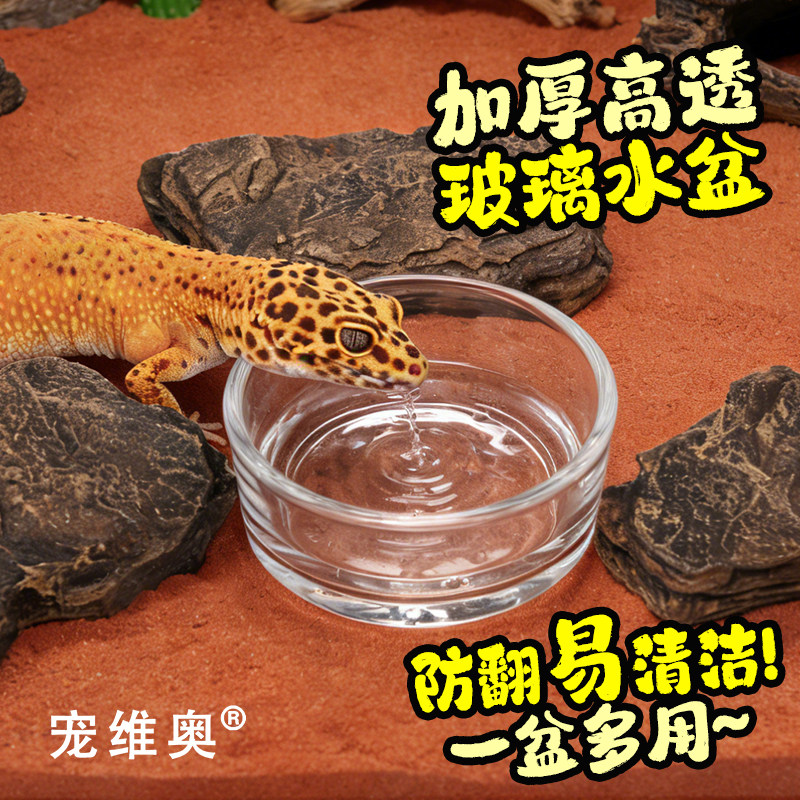 宠维奥无菌迷你玻璃水杯食盆图片