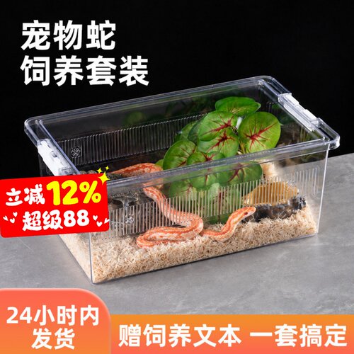 宠维奥宠物蛇饲养盒套装造景大号