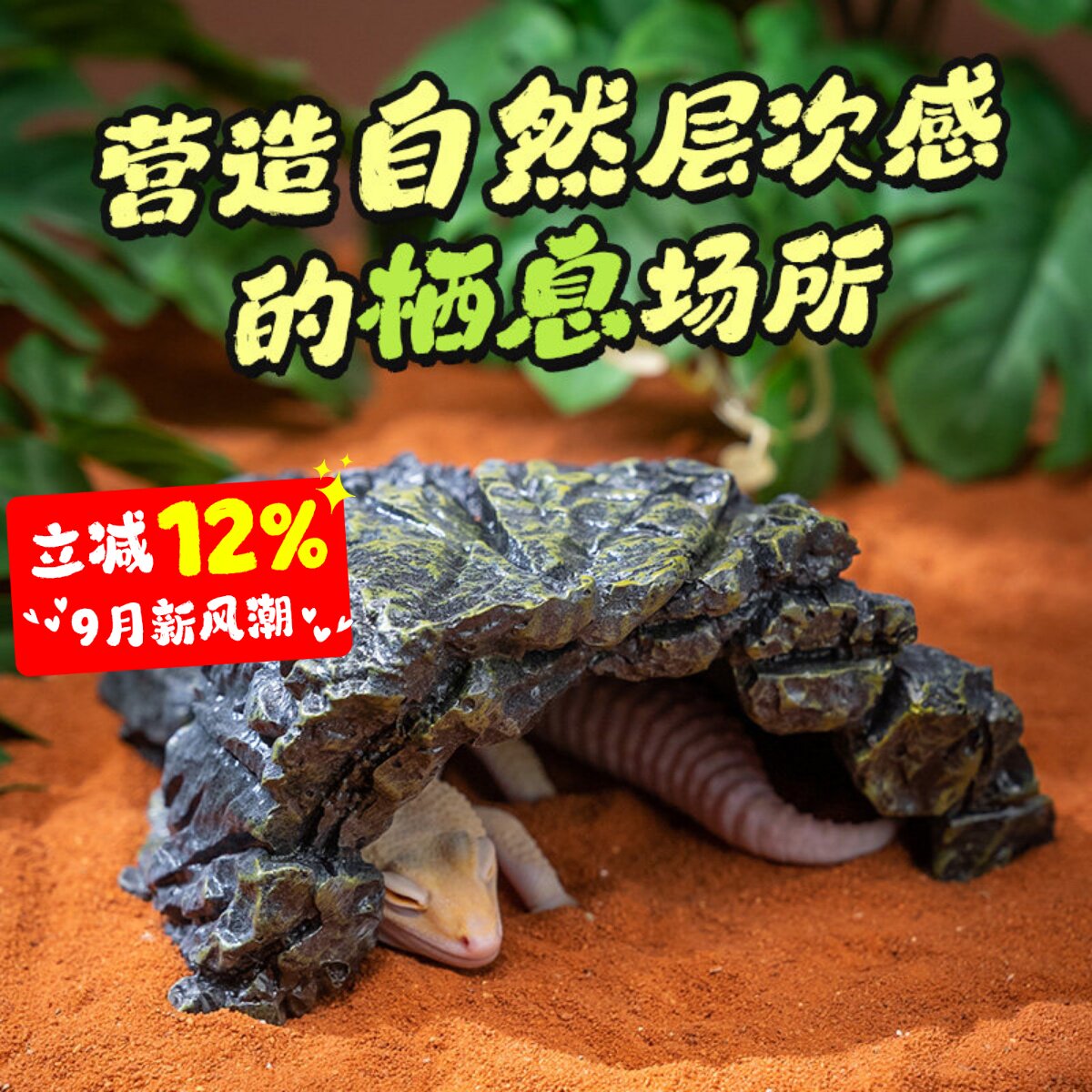 爬宠蜥蜴角蛙蛇乌龟天然岩石洞穴										