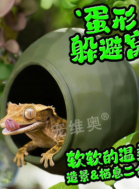 蛋仔躲避窝吸盘爬宠攀爬安全窝树栖睫角守宫姥爷树蛙造景装饰屋子