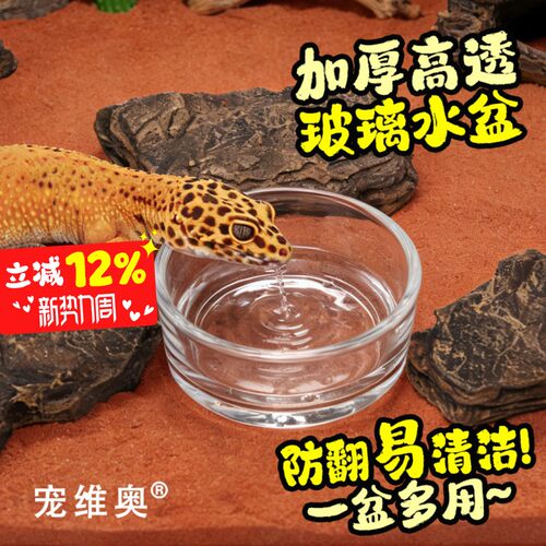 宠维奥无菌迷你玻璃水杯食盆