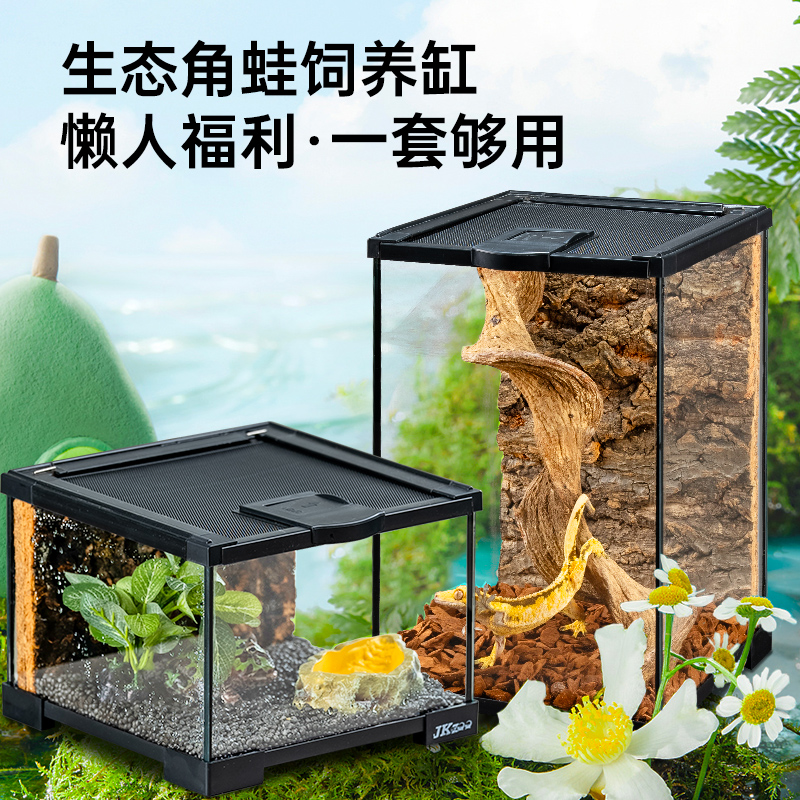 宠维奥角蛙饲养套餐套装出售