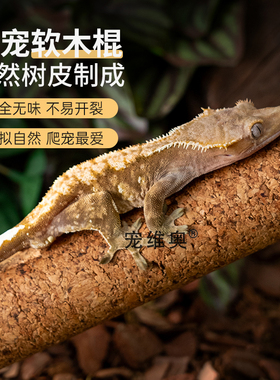 树栖爬宠攀爬棍软木棒爬虫睫角盖勾亚R属守宫树蛙造景藤木原生态