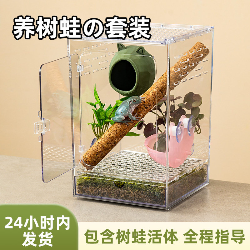 绿姥爷树蛙饲养箱套装带造景爬虫r属守宫树栖高款爬宠景观饲养盒