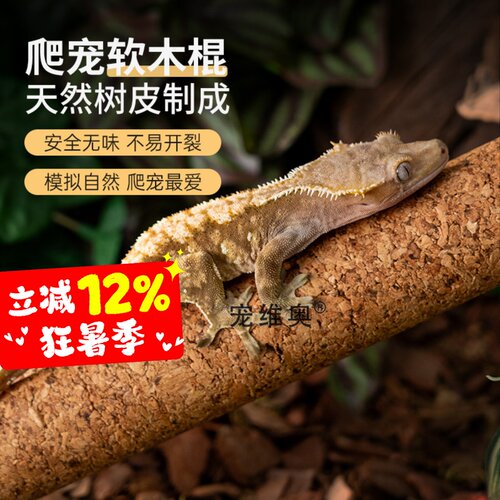 宠维奥爬宠软木棍攀爬乐趣