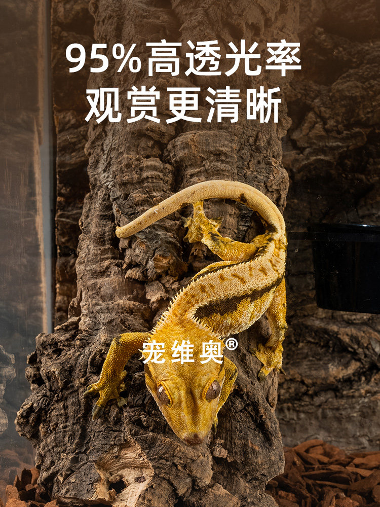 睫角守宫饲养套装爬宠树栖专用饲养盒大号亚克力桌面生态盒造景盒